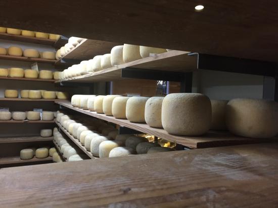 Bruny Island Cheese Company